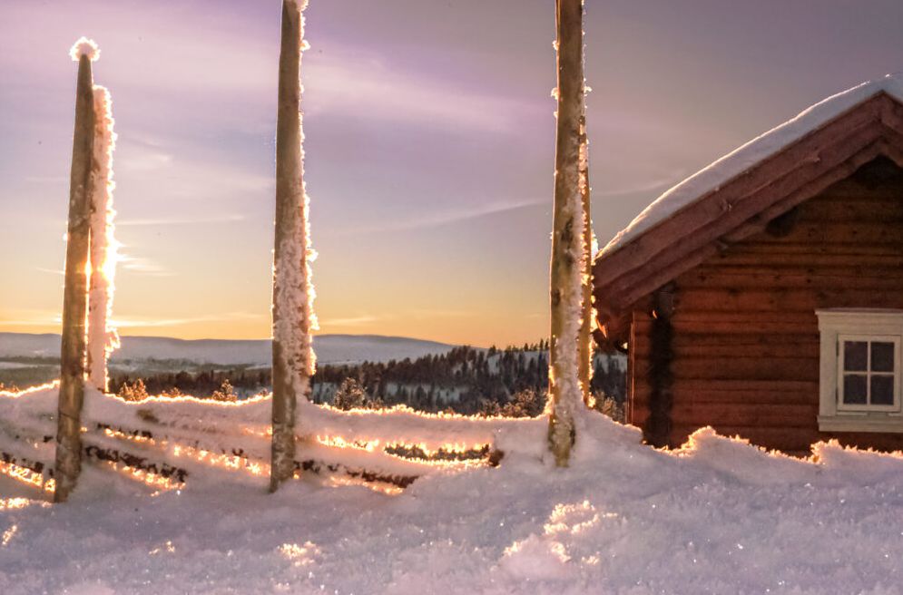 skigard fence